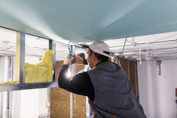 Best Blown-In Insulation  in Warren, MN