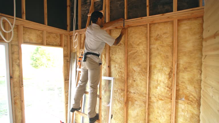 Best Soundproof Insulation  in Warren, MN