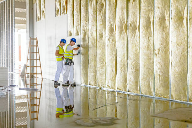 Best Wall Insulation Installation  in Warren, MN